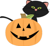 black cat  and jack o lantern