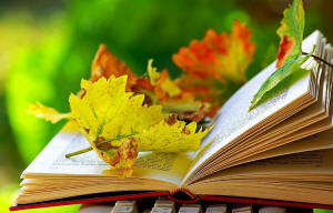 book with fall leaves